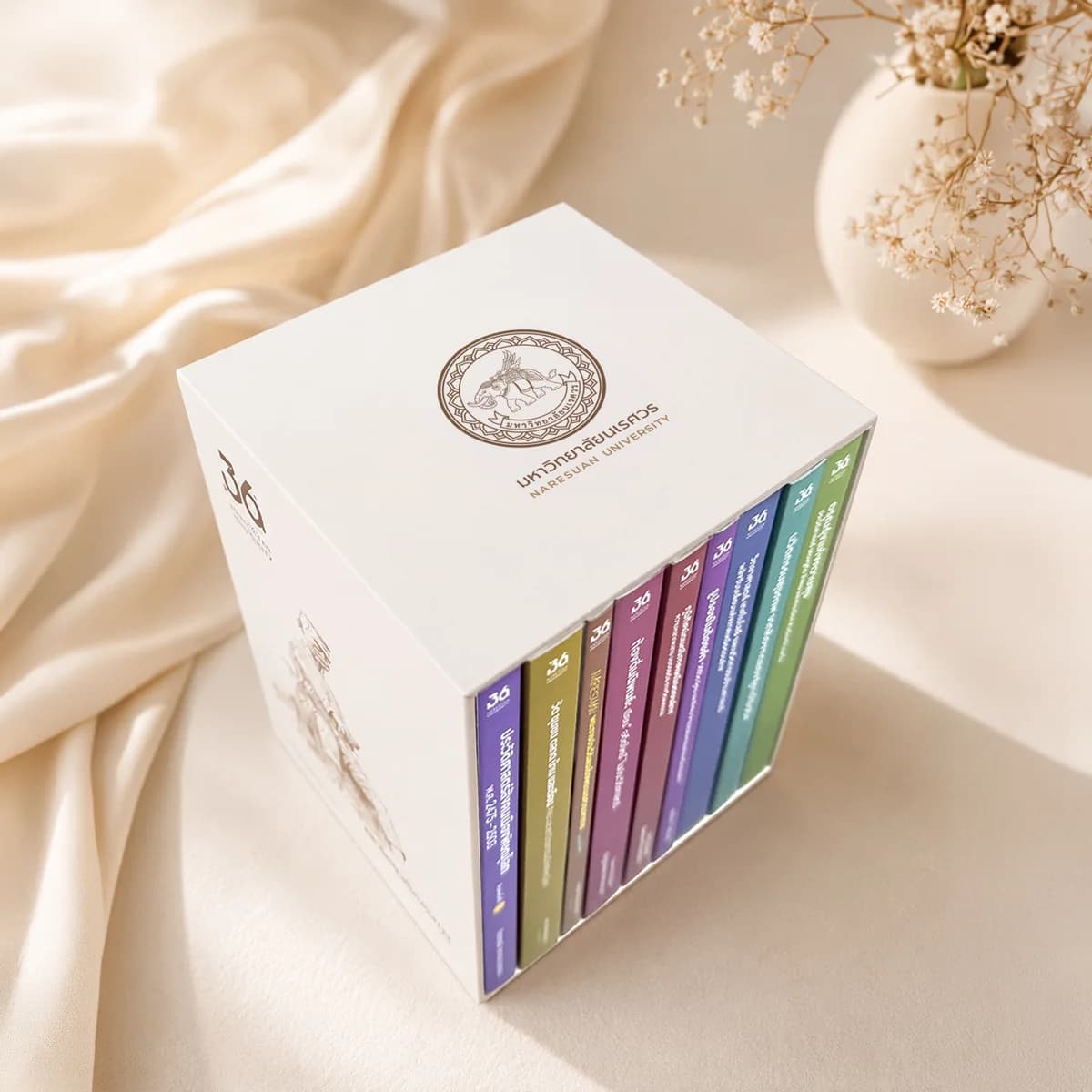 รายละเอียดตรามหาวิทยาลัยนเรศวรบน Box Set