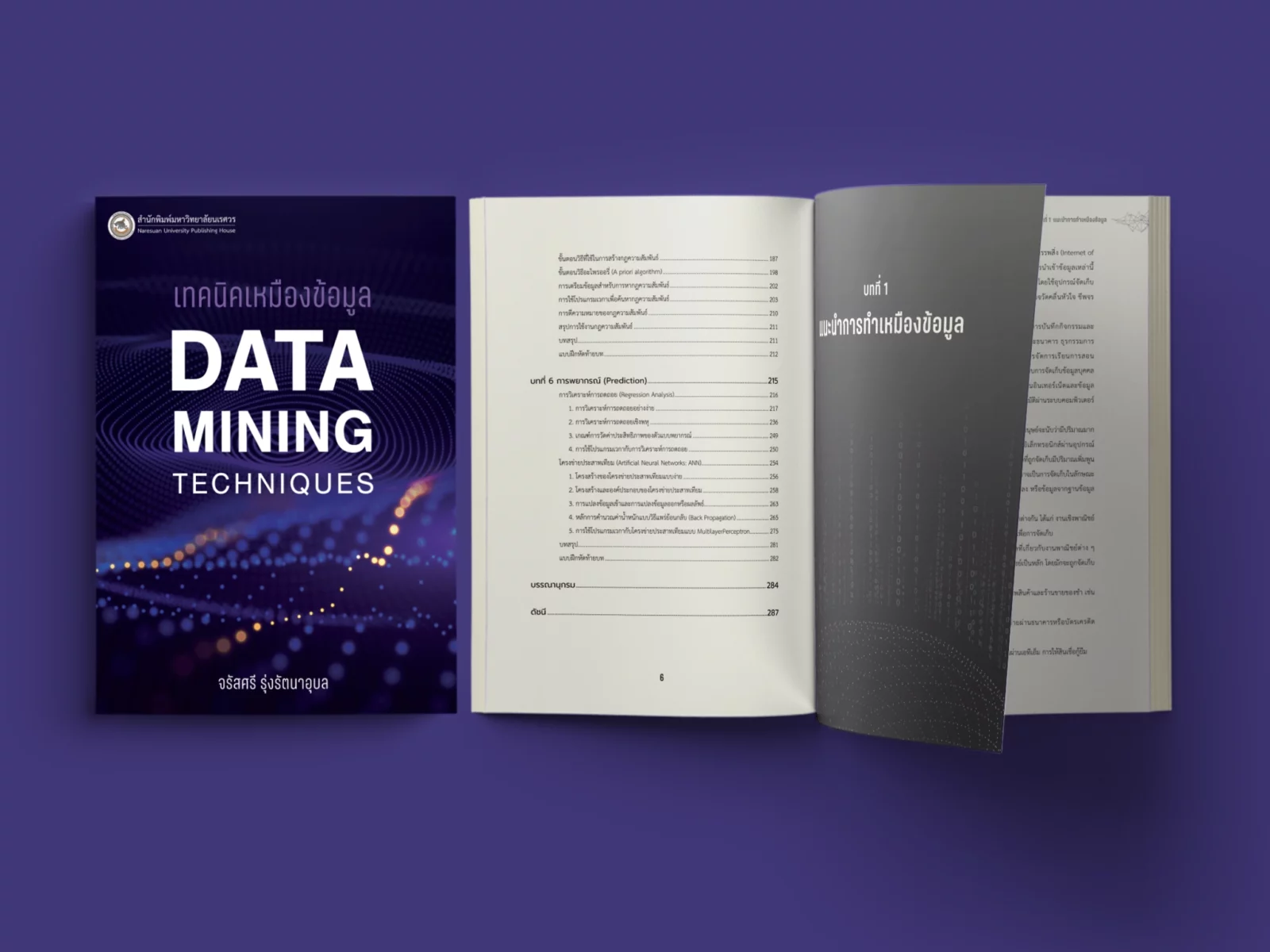 Data Mining คือ
