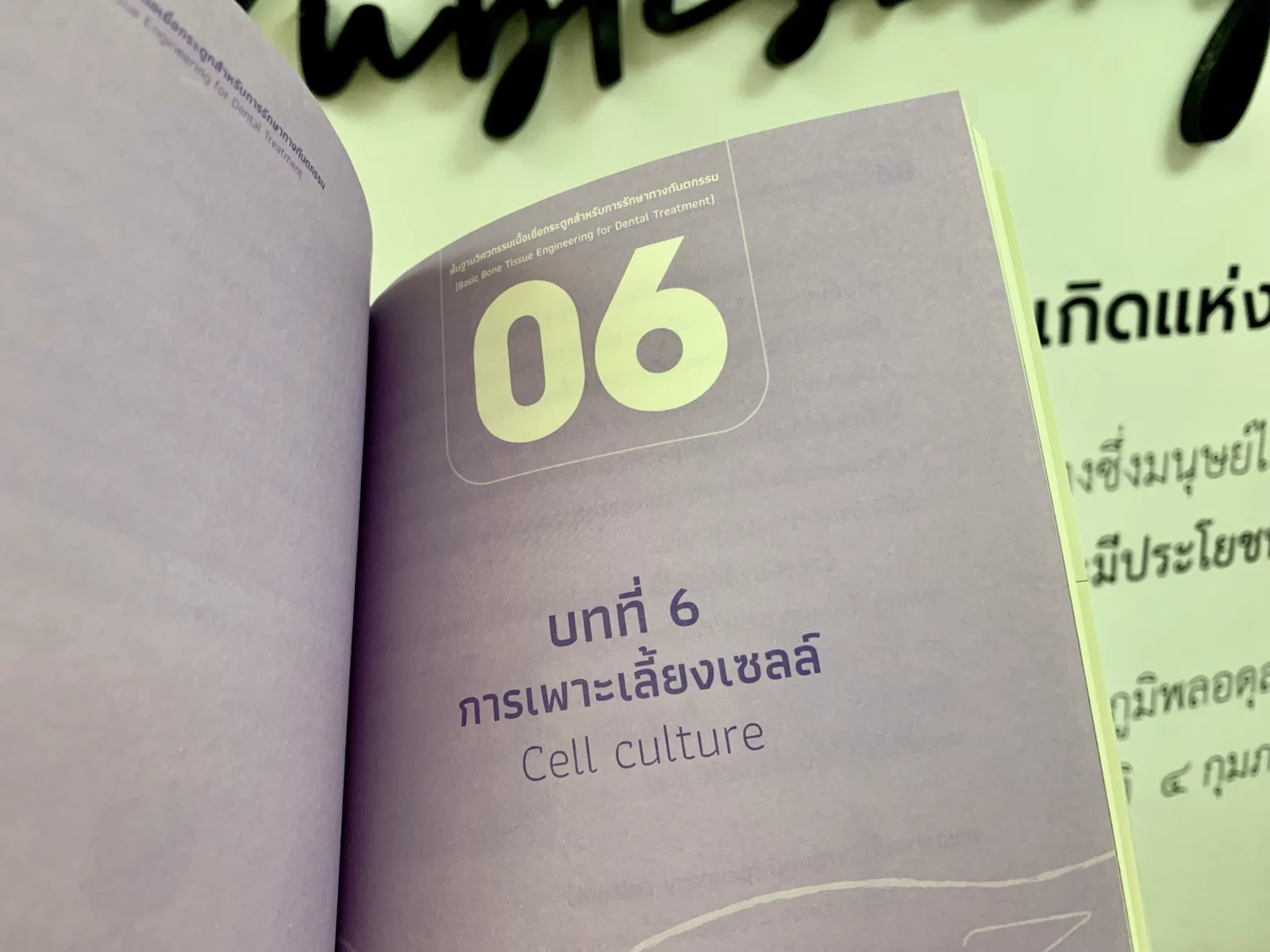 วิศวกรรมเนื้อเยื่อกระดูก