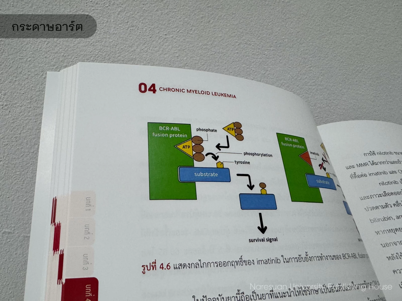 กระดาษ