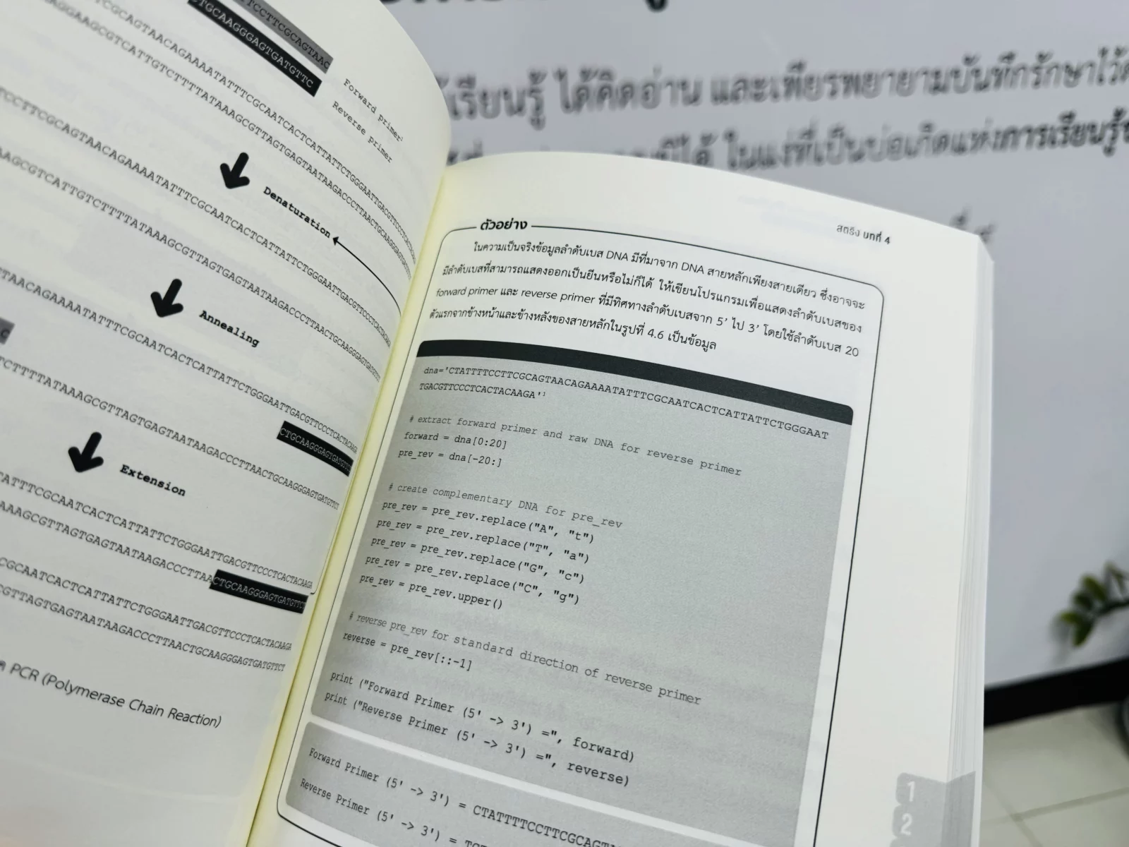 ภาษา python