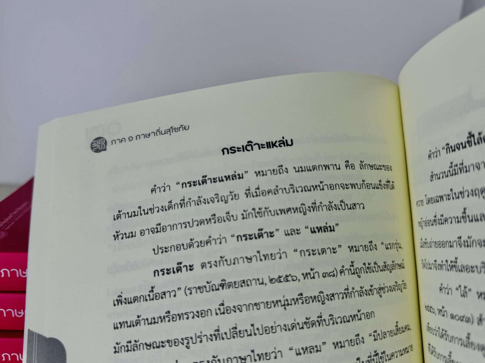 IMG_2413 ภาษาสุโขทัย