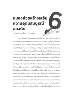 ภาพตัวอย่างหนังสือ 8