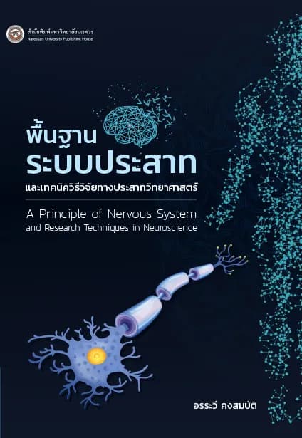 พื้นฐานระบบประสาทและเทคนิควิธีวิจัยทางประสาทวิทยาศาสตร์