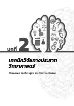 ภาพตัวอย่างหนังสือ 5