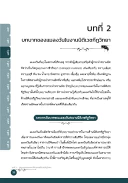 ภาพตัวอย่างหนังสือ 8
