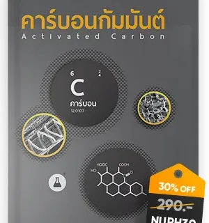 คาร์บอนกัมมันต์