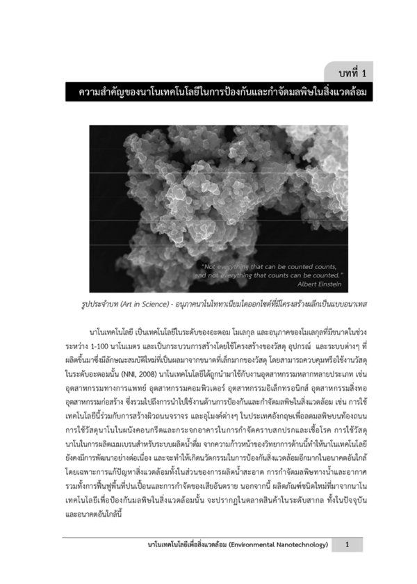 นาโนเทคโนโลยีเพื่อสิ่งแวดล้อม - Image 6