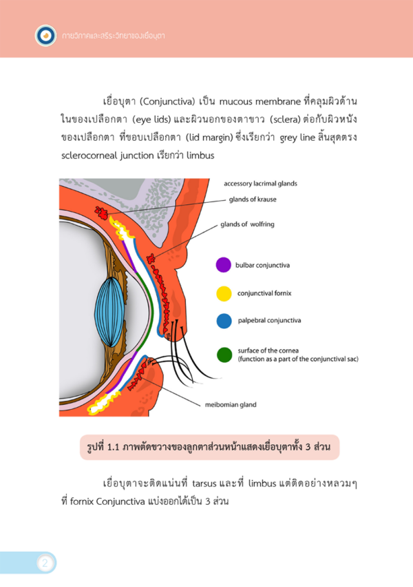 โรคของเยื่อบุตา Diseases of Conjunctiva - Image 6