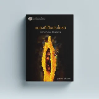 แมลงที่เป็นประโยชน์ Beneficial Insects