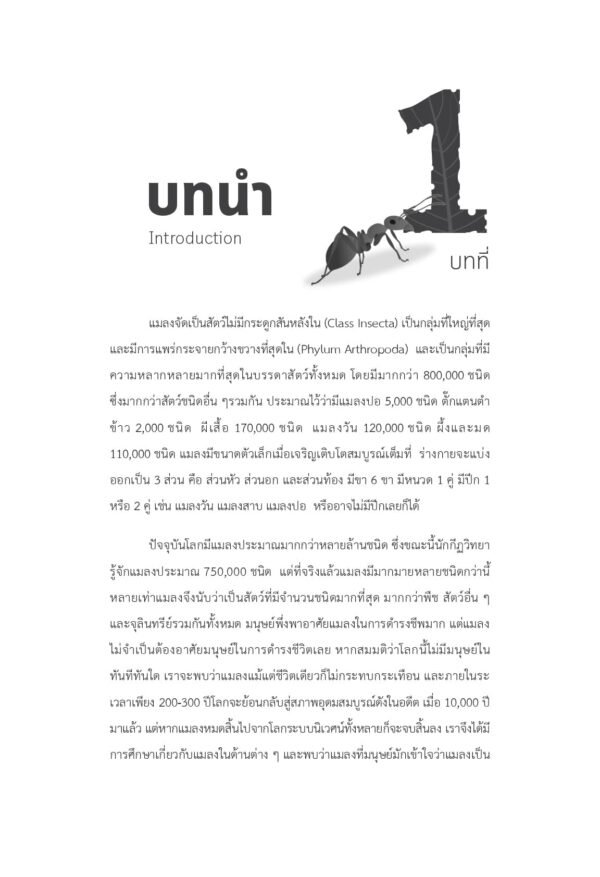แมลงที่เป็นประโยชน์ Beneficial Insects - Image 3