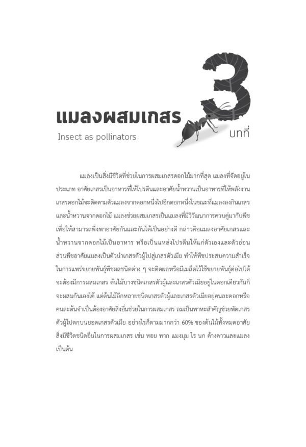 แมลงที่เป็นประโยชน์ Beneficial Insects - Image 5