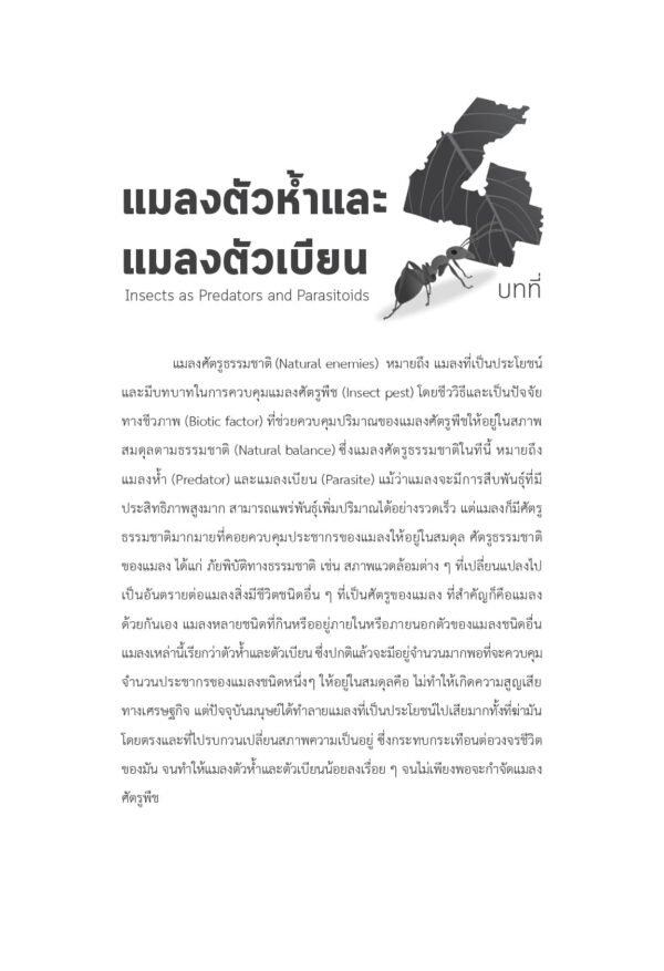 แมลงที่เป็นประโยชน์ Beneficial Insects - Image 6