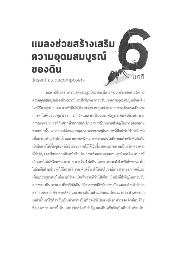 แมลงที่เป็นประโยชน์ Beneficial Insects - Image 8