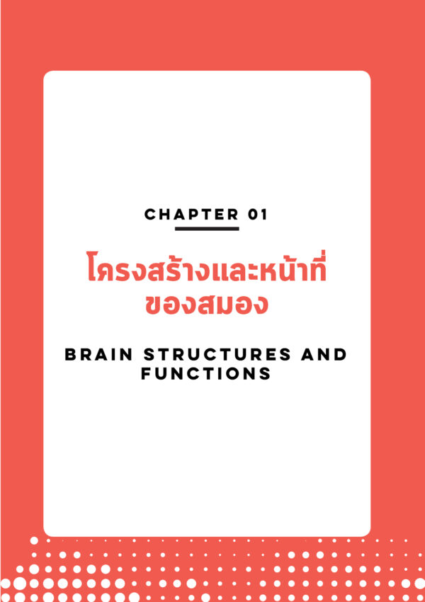 สมองและสารสื่อประสาท: ความผิดปกติในภาวะติดสารเสพติด - Image 3