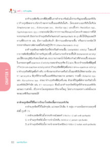 เบคทีเรียดื้อยา