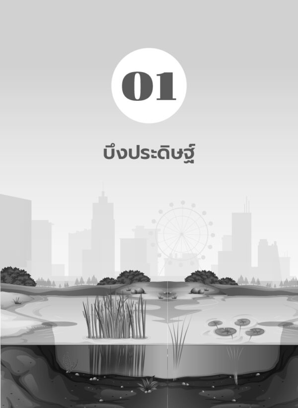 บึงประดิษฐ์บำบัดน้ำเสีย : หลักพื้นฐานและกรณีศึกษา - Image 6
