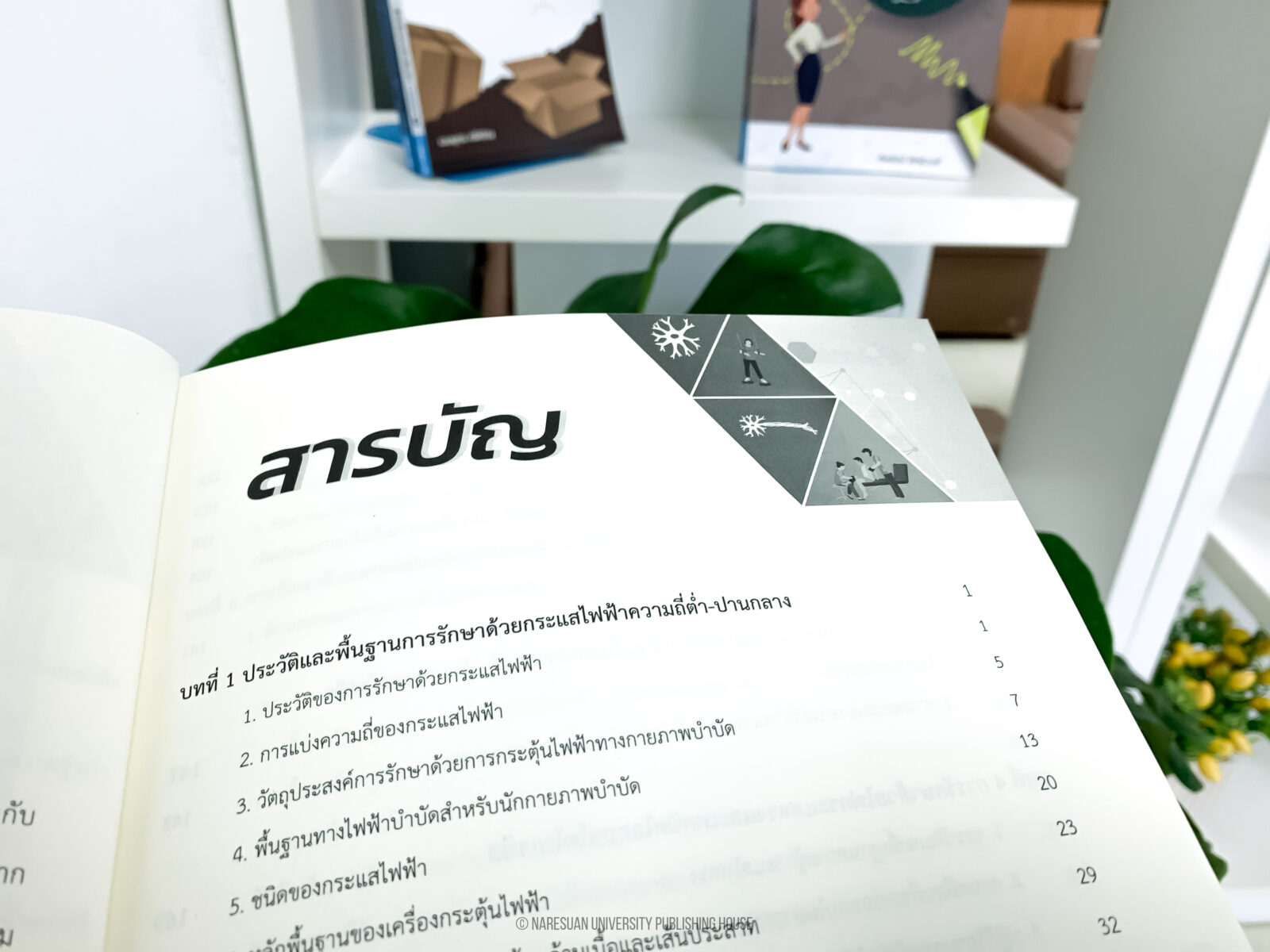 ตัวอย่างสารบัญ