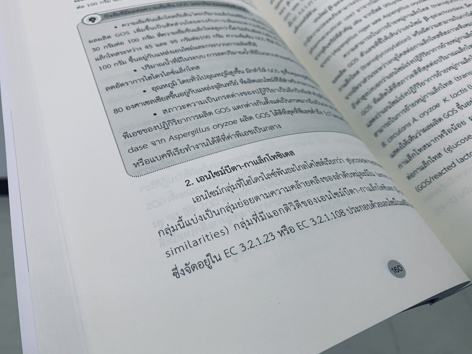 เอนไซม์และการประยุกต์ใช้ในอุตสาหกรรมอาหาร เอนไซม์และการประยุกต์ใช้ในอุตสาหกรรมอาหาร