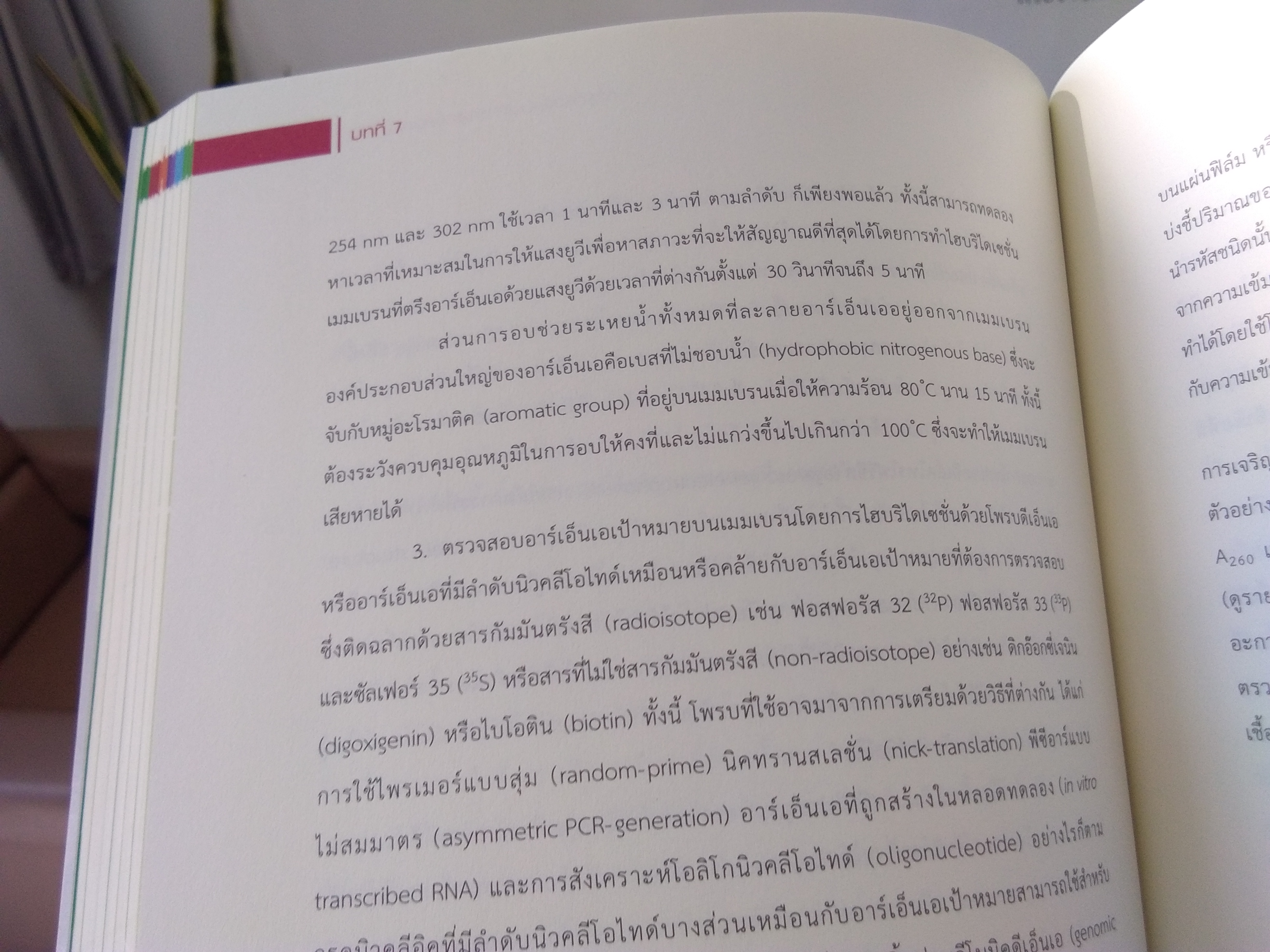 พันธุศาสตร์