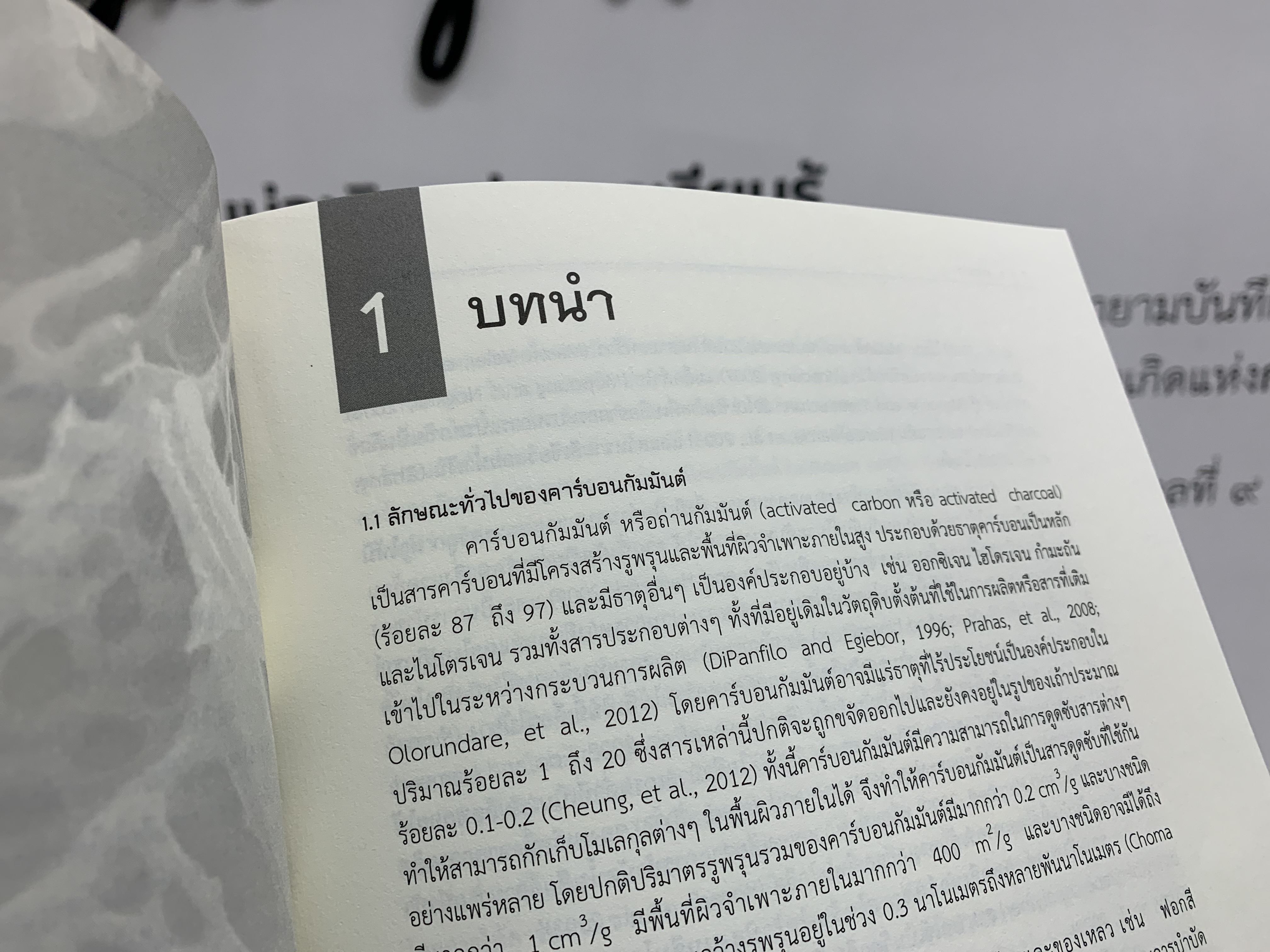 ถ่านกัมมันต์_4