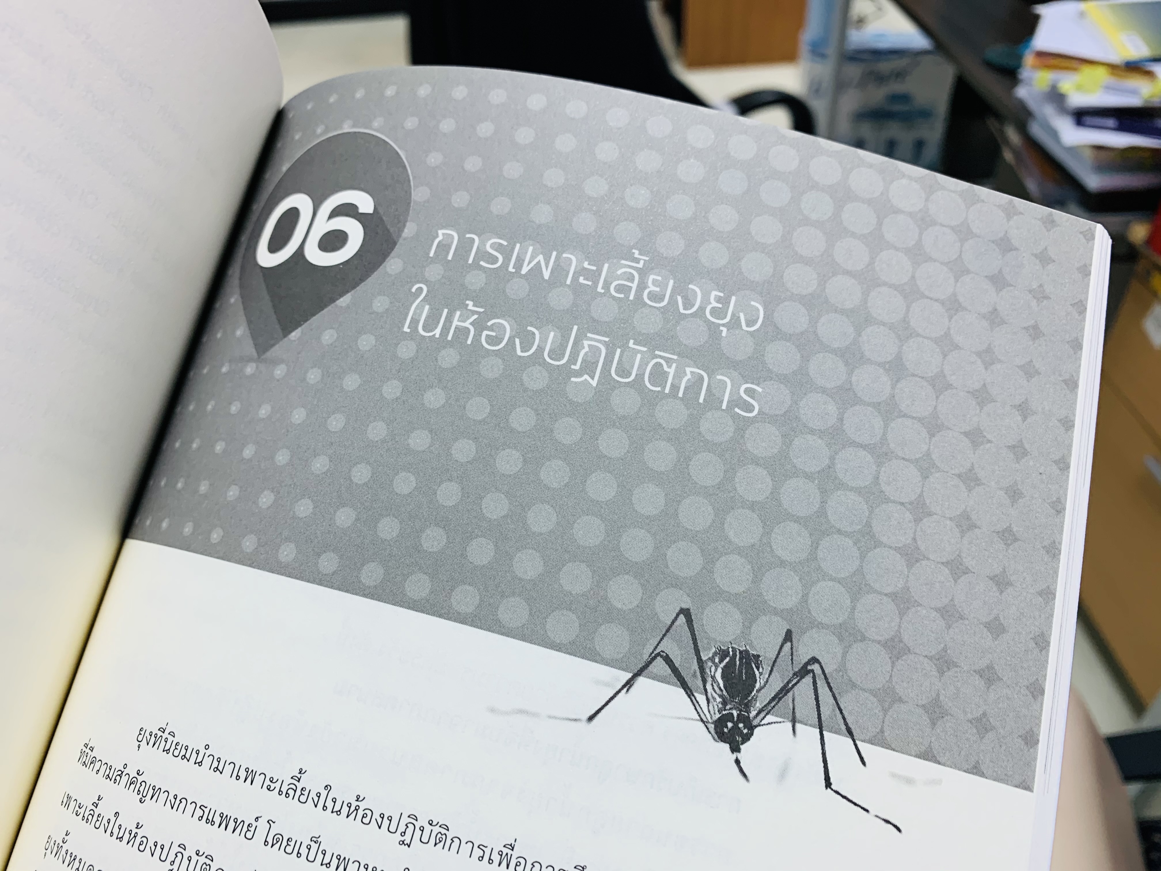 ยุงในประเทศไทย