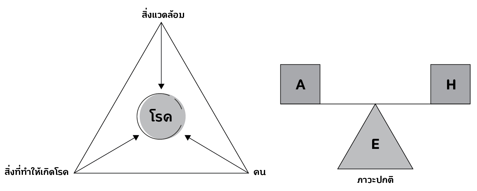 การระบาด