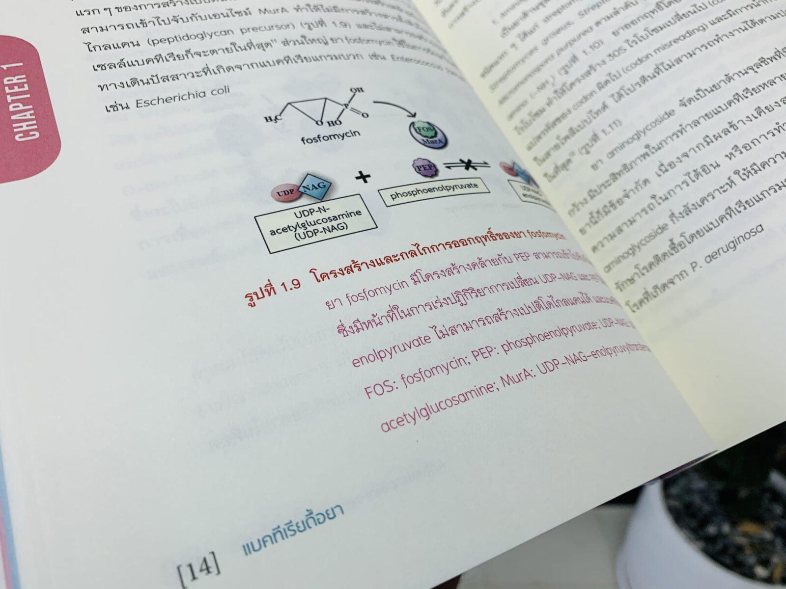 ดื้อยา
