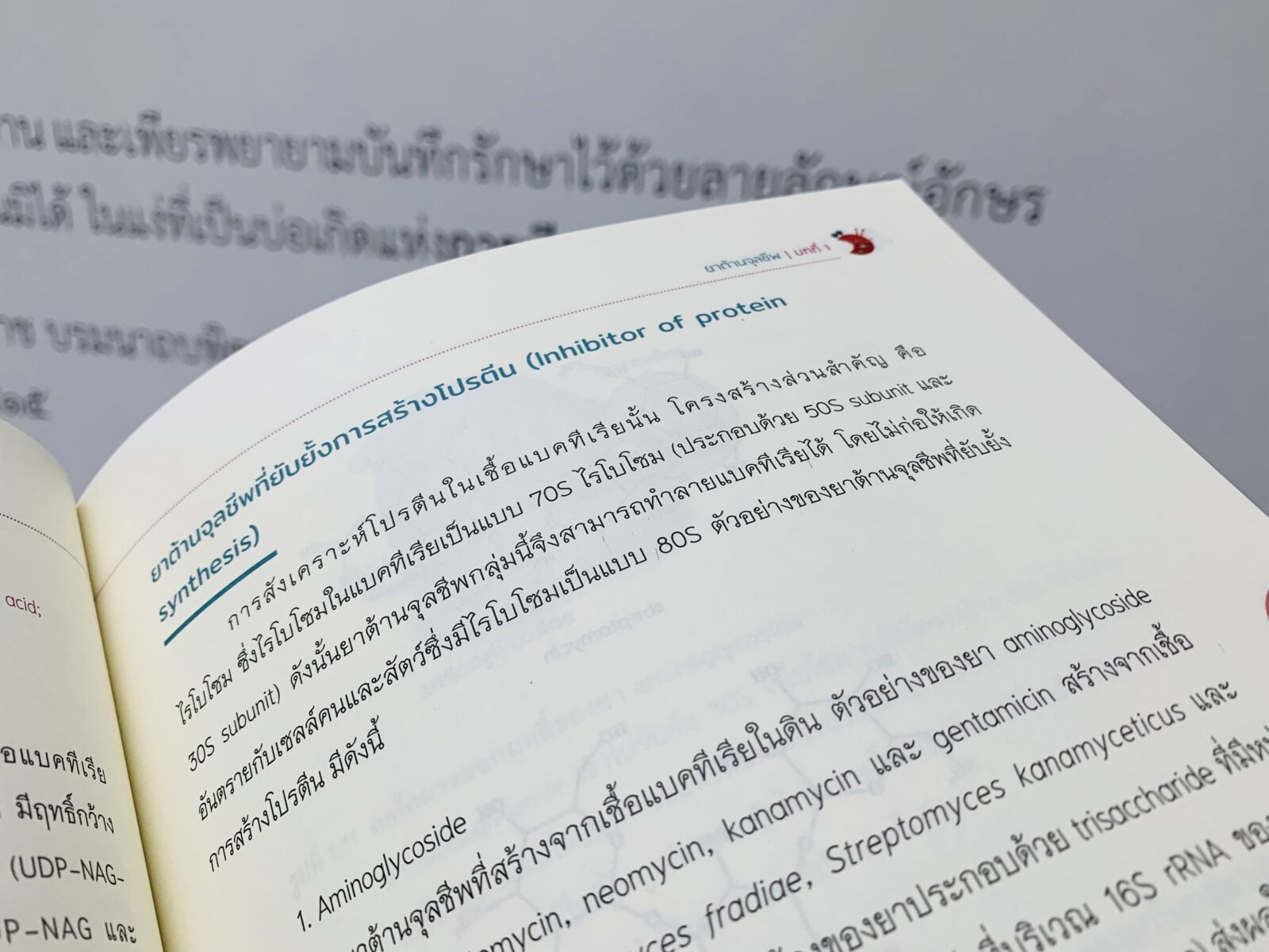 เชื้อดื้อยา