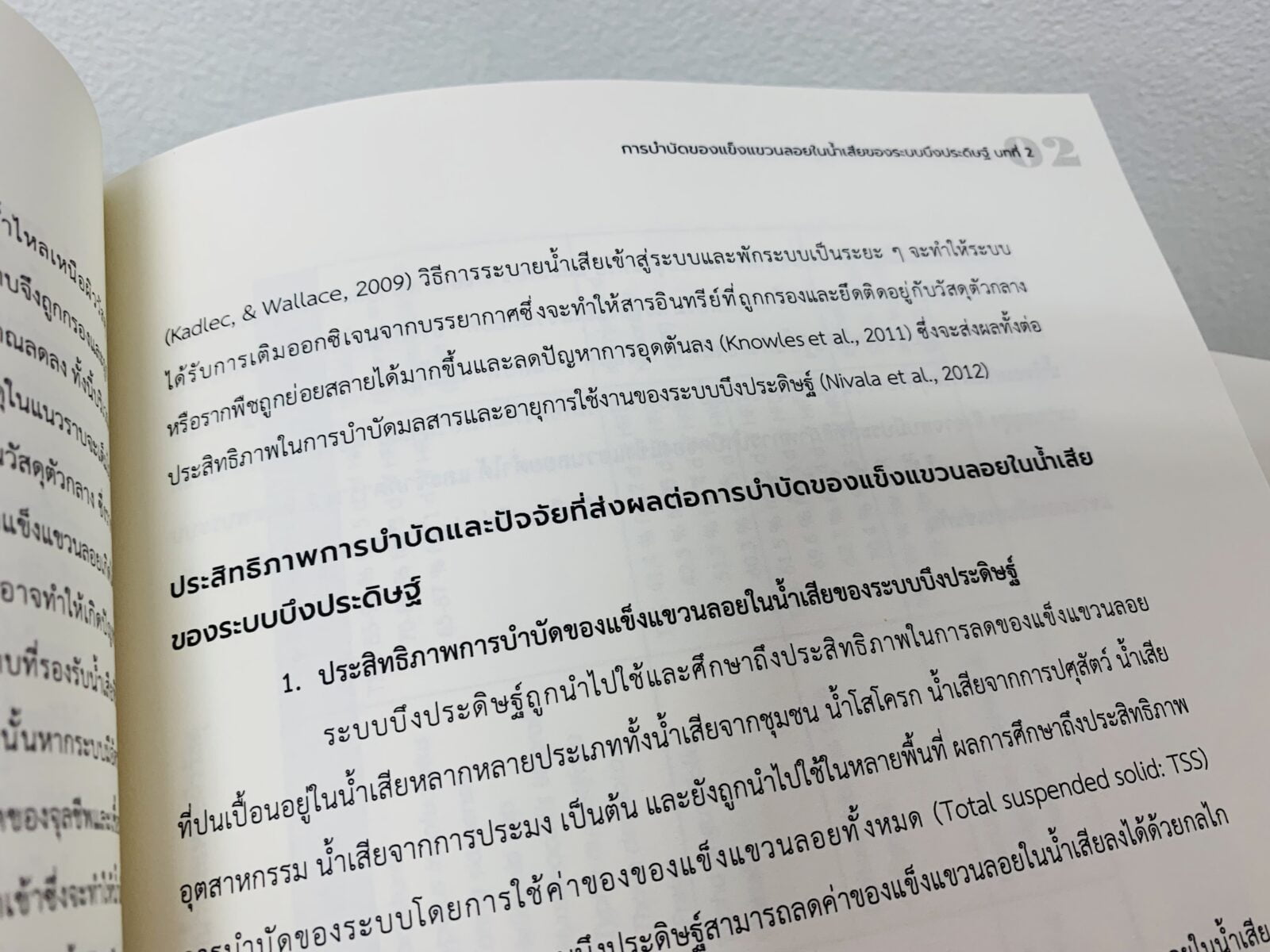 บึงประดิษฐ์