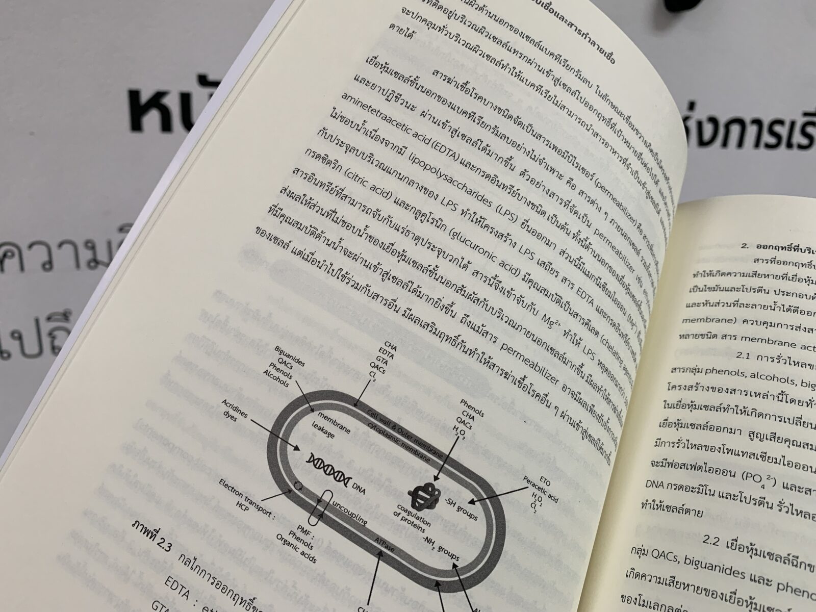 สารฆ่าเชื้อโรค : สารระงับเชื้อและสารทำลายเชื้อ
