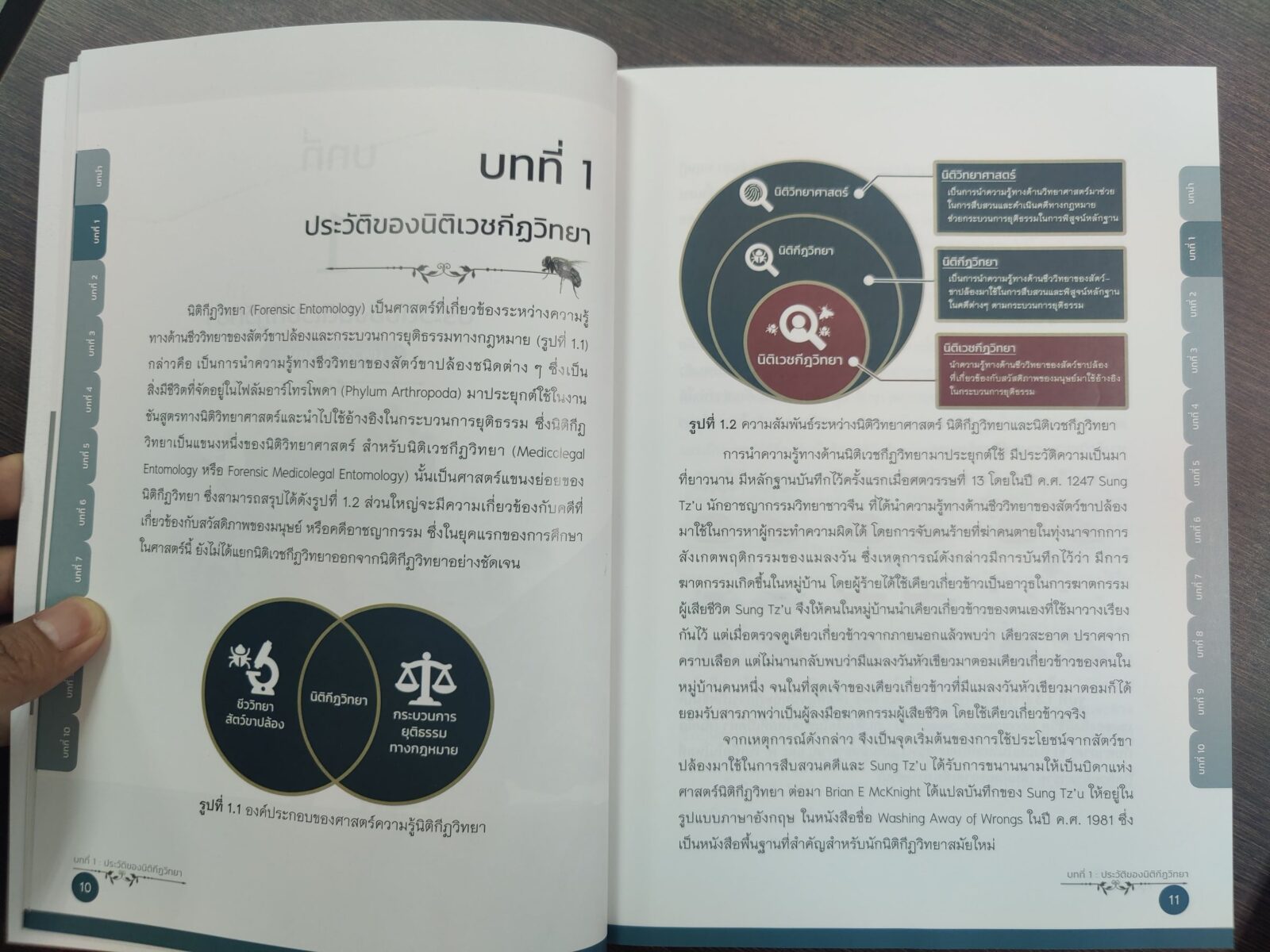 บทบาทแมลงวันในงานนิติเวชกีฏวิทยา