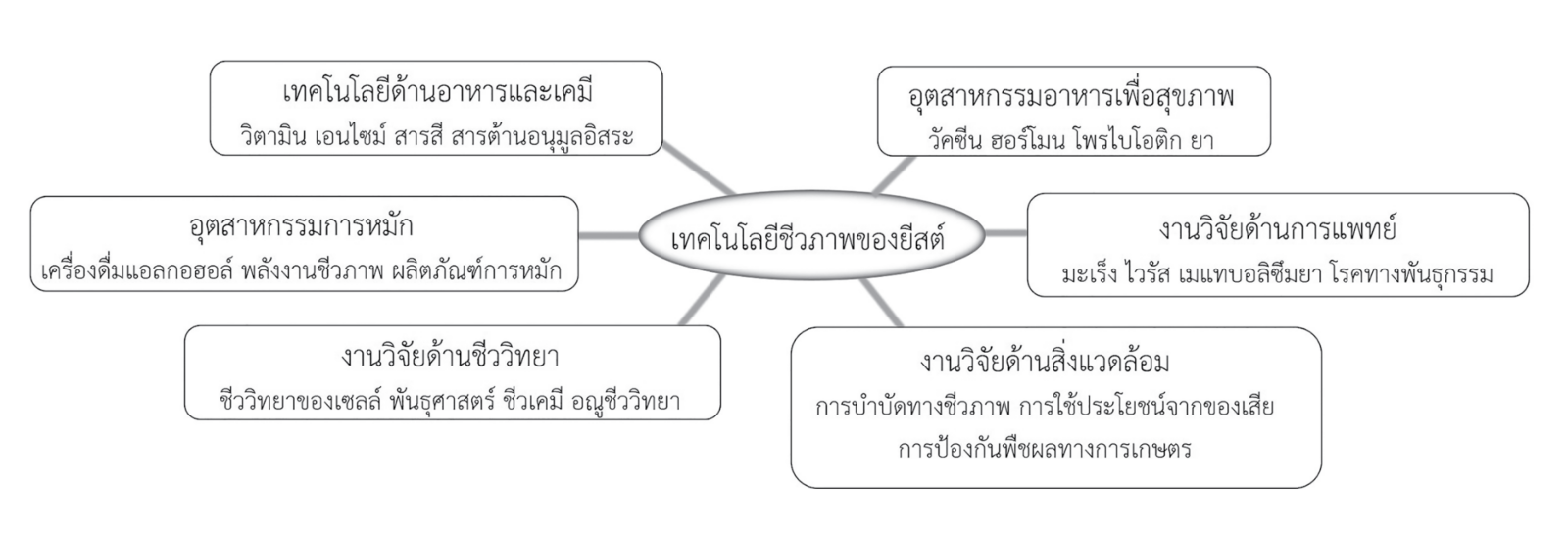ยีสต์ คือ