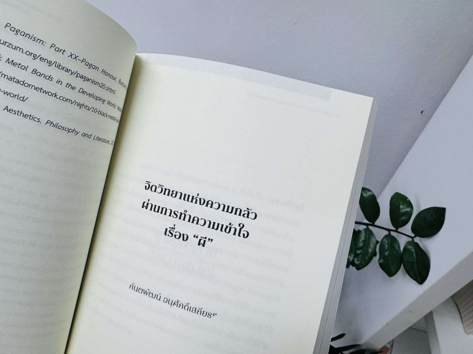 ผี ร่างทรง